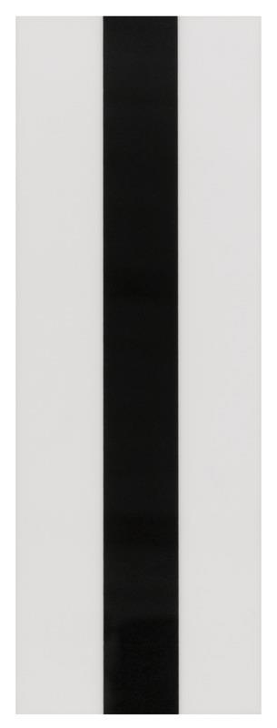 Leuze OTB 30/100-BK/WH250 Film Turkey