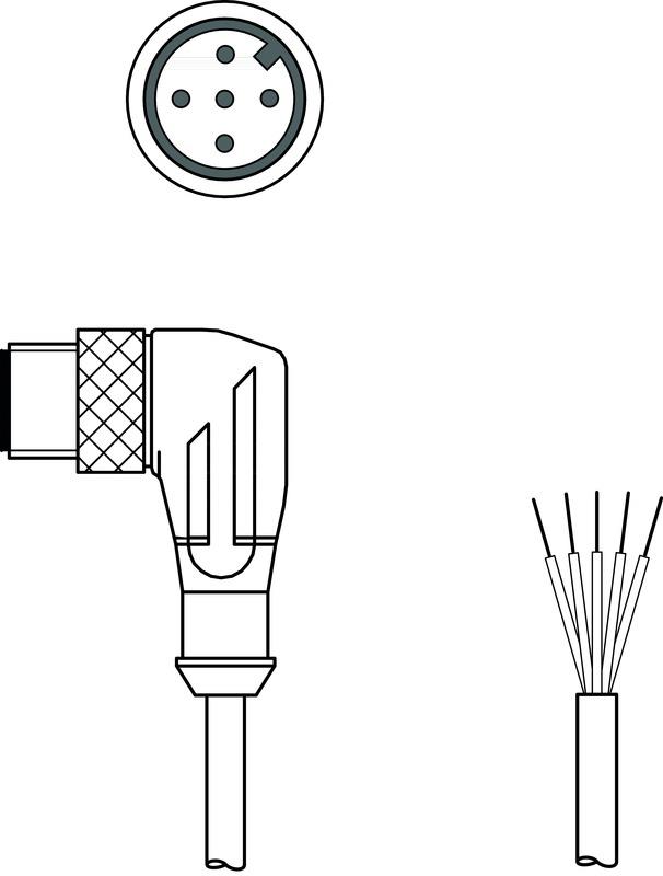 Leuze CB-M12-10000-5WM Connection cable Turkey