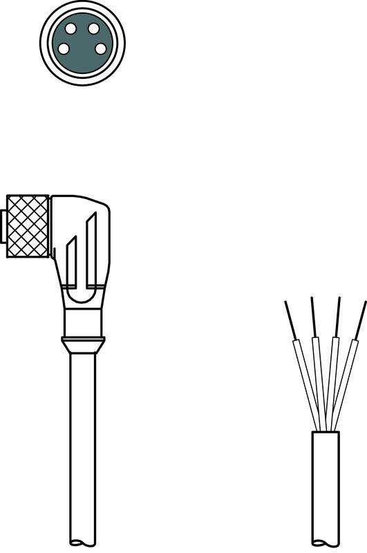 Leuze K-D M8W-4P-2m-PUR Connection cable Turkey
