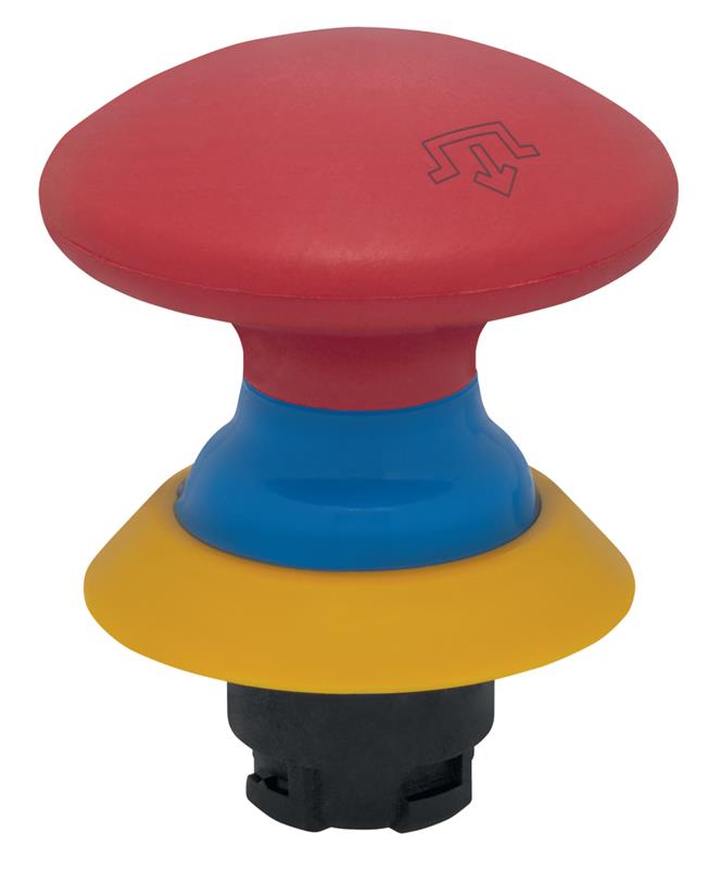 Schmersal NDRR50BL/RT-2905-1 Turkey