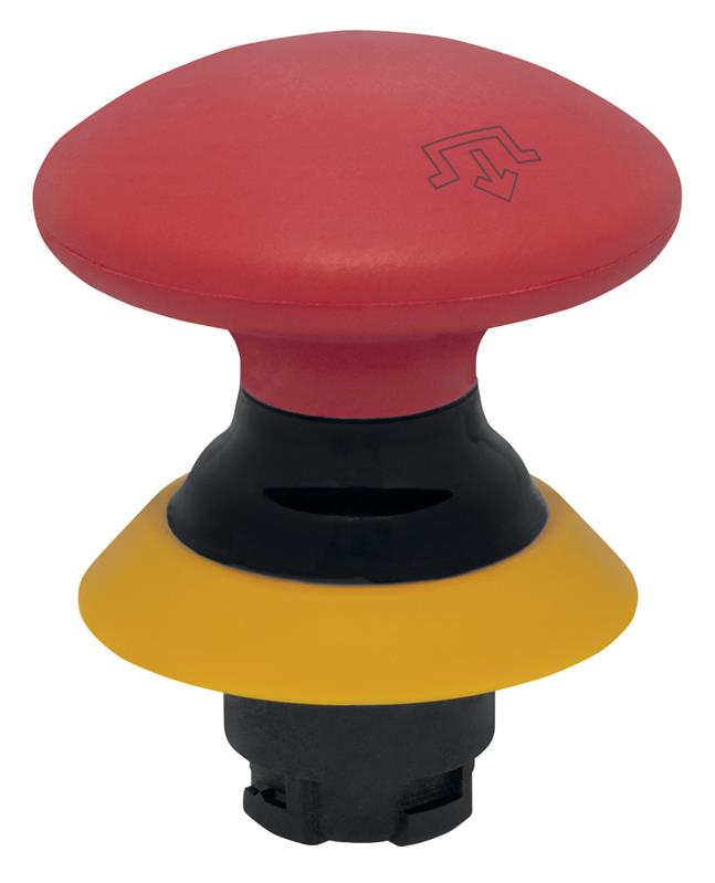 Schmersal NDRR50GR/RT-2905-1 Turkey