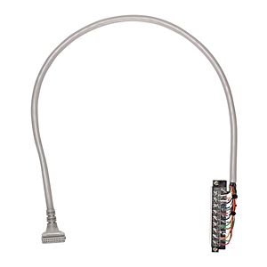 Allen Bradley 1492-CAB100F69 Digital Cable Connection Products Turkey