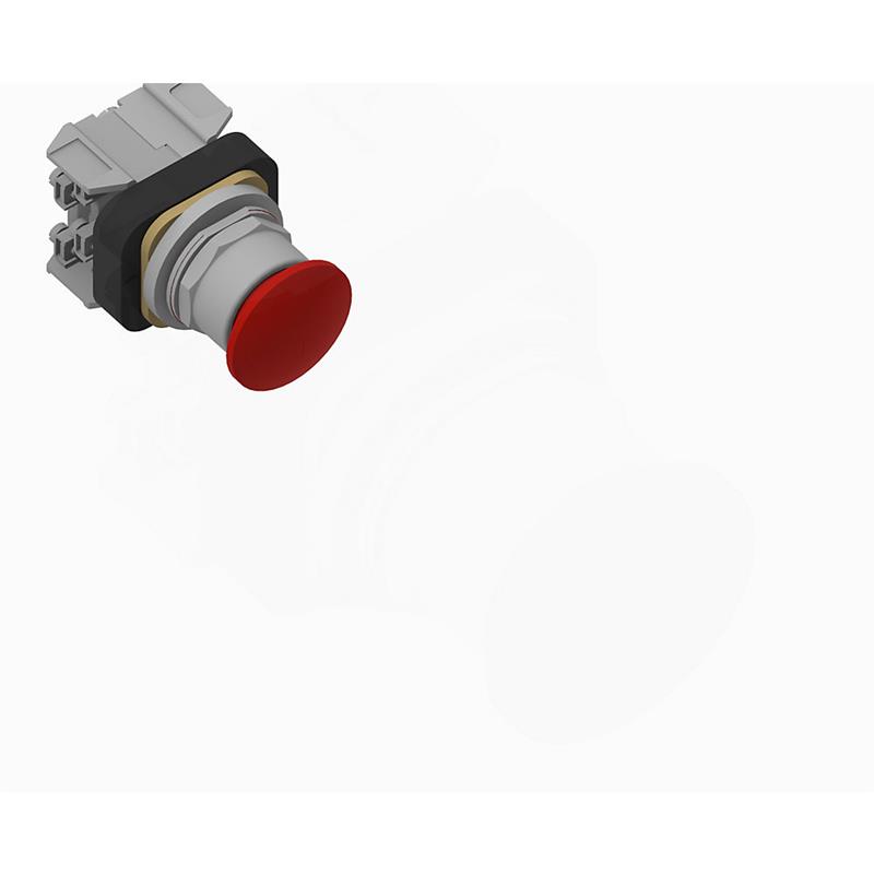 Allen Bradley 800T-QMH2RAR 30 mm Momentary Push-Button 800T PB Turkey