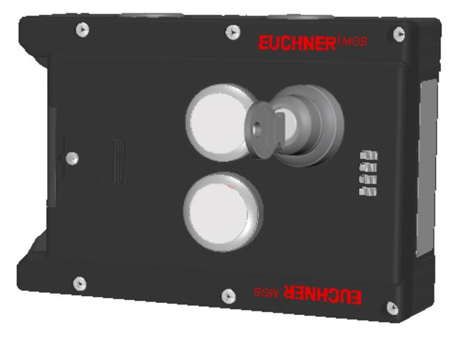 Euchner MGB-L1-ARA-AN3A1-M-L-121421 Turkey