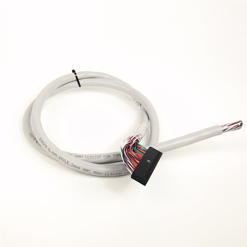 Allen Bradley 1492-CAB010P62 Digital Cable Turkey