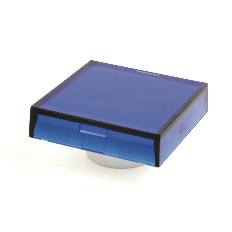 Allen Bradley 800B-ALD6 Blue Lens Cap - Large Square Turkey