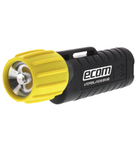 Pepperl+Fuchs 3AA eLED CPO ET12P Explosion-protected LED flashlight (ATEX Zone 0/20) Turkey