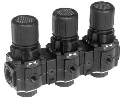 Norgren R72M-2GK-RMN Excelon general purpose manifold pressure regulator, G1/4, 03-10 bar, without gauge Turkey