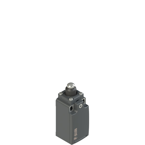Pizzato FR 508-M2 Position switch with piston plunger Turkey