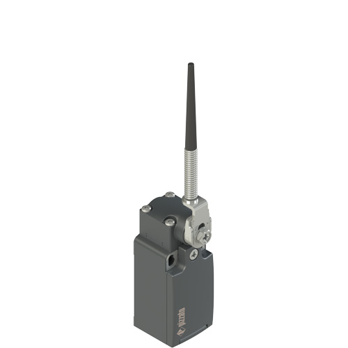 Pizzato FR 534-M2 Position switch, coiled spring lever with plastic point Turkey