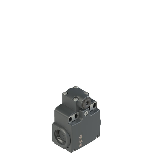 Pizzato FX 538-M2 Position switch for rotating levers Turkey