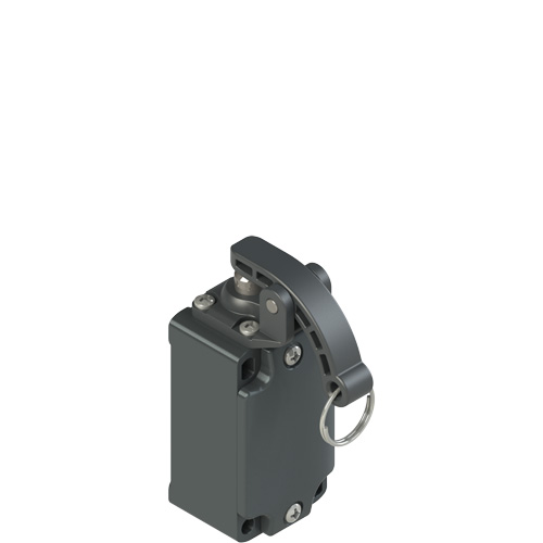Pizzato FD 509-M2 Position switch with rope for signalling Turkey