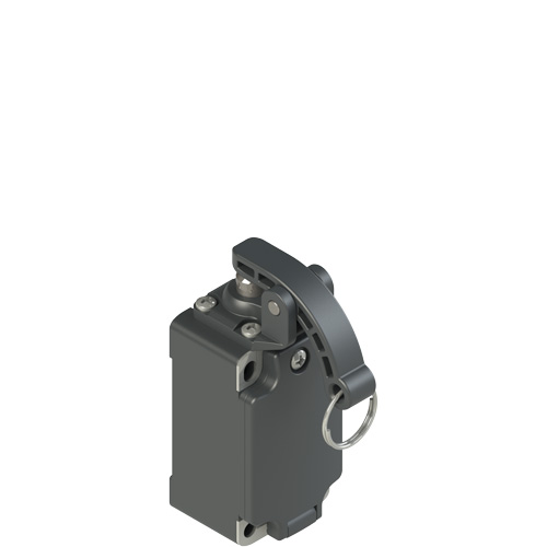 Pizzato FP 509-M2 Position switch with rope for signalling Turkey