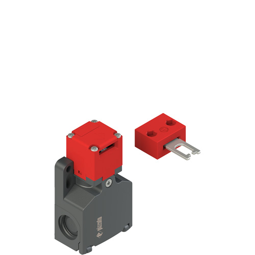 Pizzato FW 592-D2M2 Safety switch with separate actuator Turkey