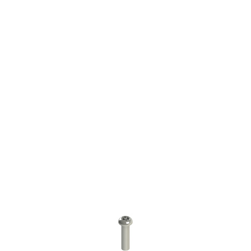 Pizzato VF VAM4X15BX-X Stainless steel security screws Turkey