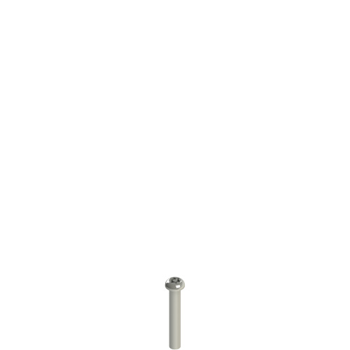 Pizzato VF VAM4X25BX-X Stainless steel security screws Turkey