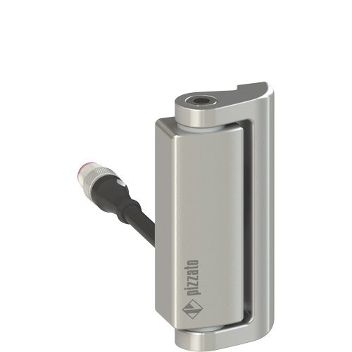 Pizzato HP AA052D-0.1PM Safety hinge switch Turkey