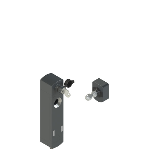 Pizzato NS D3ST1SQK-F41 NS series safety locking switch, with actuator Turkey