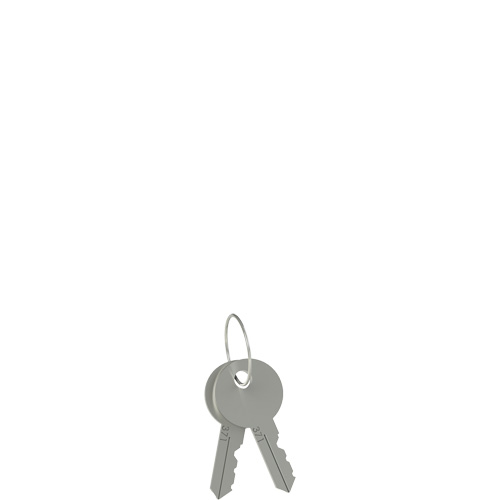 Pizzato VF KLA371 Unlocking key pair Turkey