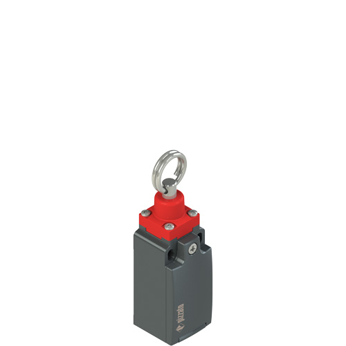 Pizzato FM 874-M2 Rope safety switch without reset for simple stop Turkey