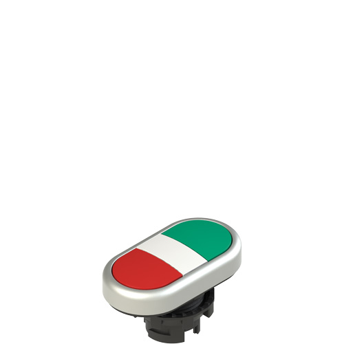 Pizzato E2 1PDRL90423 Double lower flush pushbutton, without marking Turkey