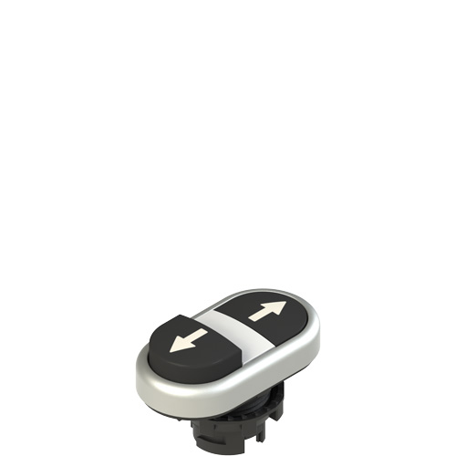 Pizzato E2 1PDSL9AAAB Double lower projecting pushbutton, with marking Turkey