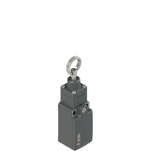 Pizzato FR 573-M2 Stable position switch for rope actuation Turkey