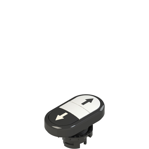 Pizzato E2 1PDRL1AABN Double lower flush pushbutton, with marking Turkey