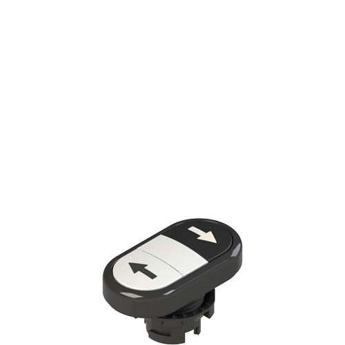 Pizzato E2 1PDRL1AABS Double lower flush pushbutton, with marking Turkey