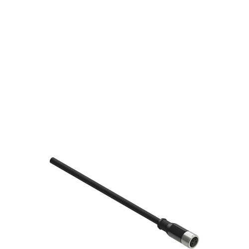 Pizzato VF CA4PD5K M8 female wired connector: straight, 4 poles, 5 m cable Turkey