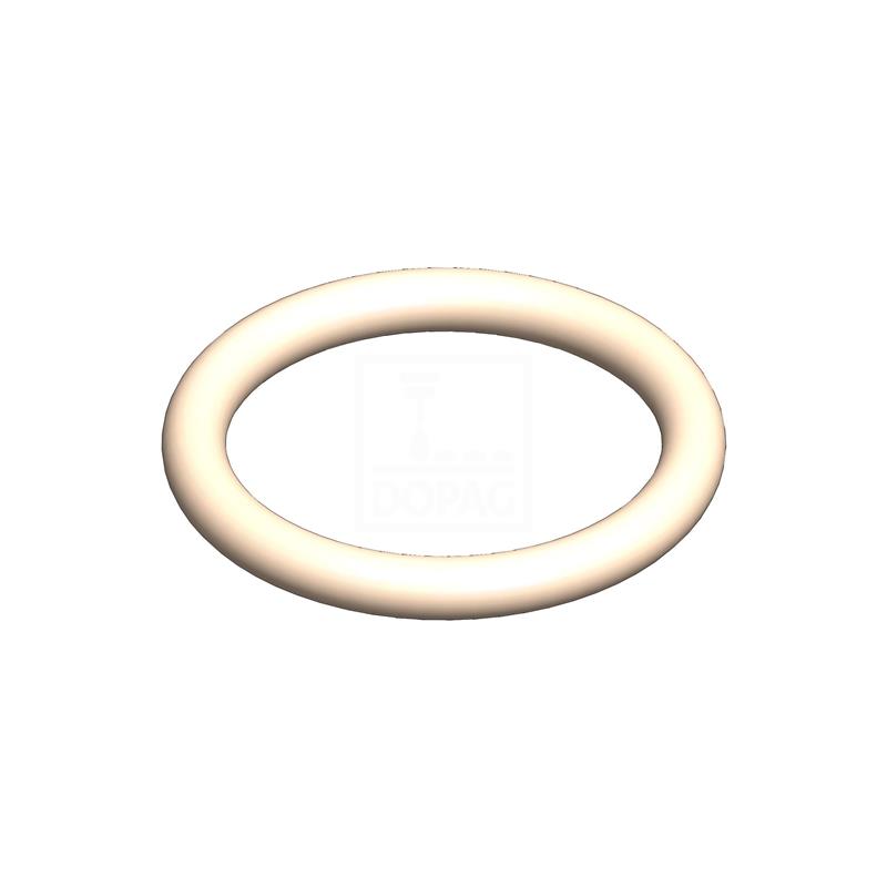 Dopag 1026371 O-ring -1786x262-PTFE Turkey