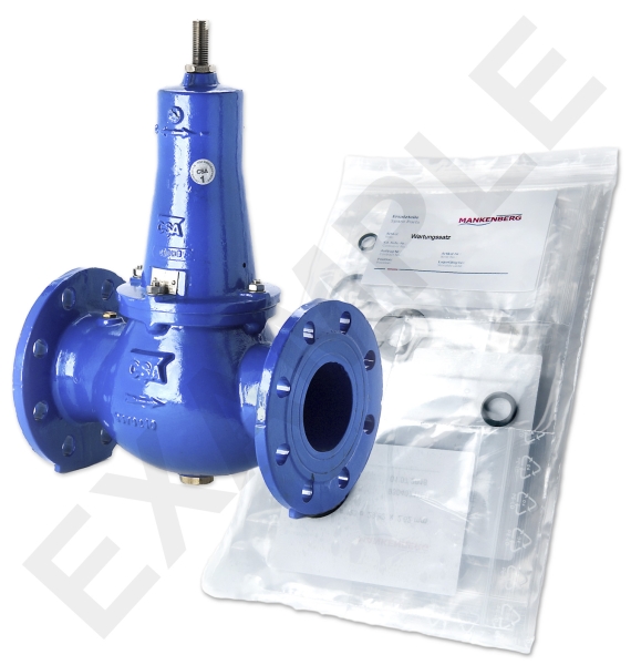 Mankenberg 6644121A WS Maintenance Kit for VRCD (DM 644) | DN 65 (2 1/2 Turkey