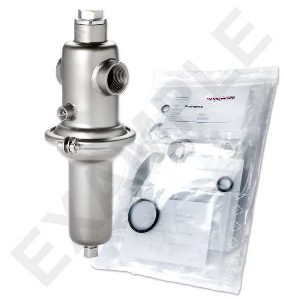 Mankenberg 6572079TA-4   WS Maintenance kit WS/DM652-40-GA01-40-D042-8-V1-EE-E28-E77  | Art-No Turkey