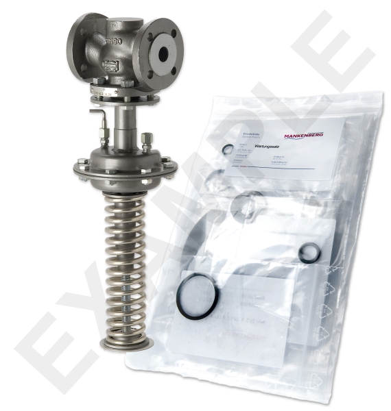 Mankenberg 65541706A-E   WS Maintenance Kit WS/DM613-50-FA13-40-D068-32-CS-EE-N | Turkey