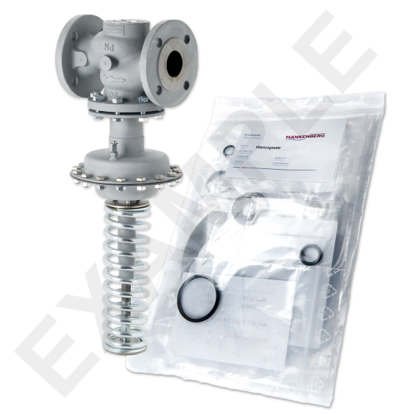 Mankenberg 65404589A     WS Maintenance Kit WS/DM604   15    * 40ST  4E-1,2YS | Turkey