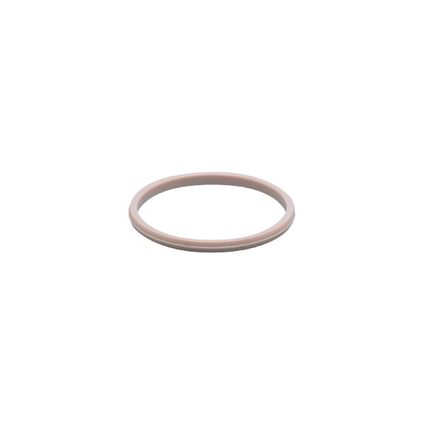 IFM PEEK SEAL Gasket Turkey