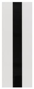 Leuze OTB 30/100-BK/WH250 Film