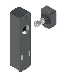 Leuze L250-P31ML-M12B8-SCA Safety locking device Turkey