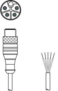 Leuze KD PL-M12-5A-P0-250-2.5 Connection cable Turkey