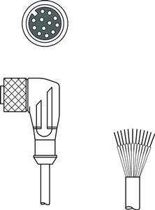 Leuze KD S-M12-CW-P1-050 Connection cable Turkey