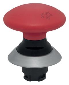 Schmersal NDRR50GR/RT