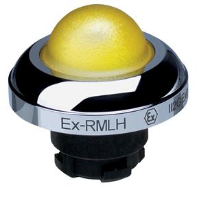 Schmersal EX-RMLHGB Turkey