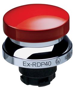 Schmersal EX-RDP40RT Turkey