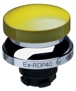 Schmersal EX-RDP40GB Turkey