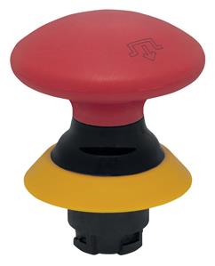 Schmersal NDRR50GR/RT-2905-1 Turkey