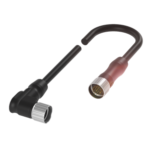 Balluff BCC M62L-M61L-70-350-PX0LP5-050 Double-ended cordsets