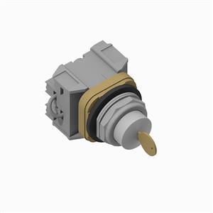 Allen Bradley 800TC-E15A5S 30 mm Cyl Lock Push-Button 800T PB