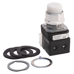 Allen Bradley 800T-QBH2WG1V 30mm Momentary Push Button 800T PB