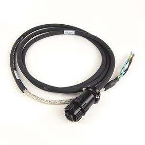 Allen Bradley 2090-CPWM6DF-16AA02 Cable