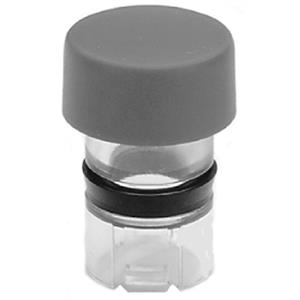 Allen Bradley 800MR-N22 Cap